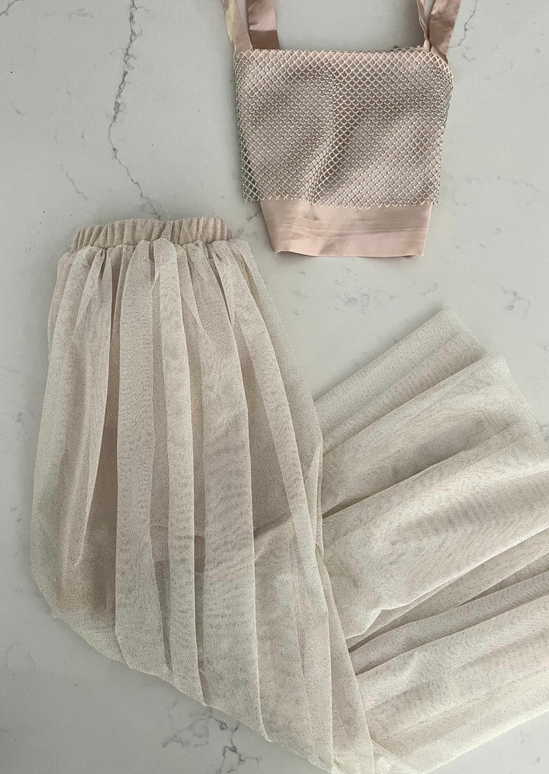 Champagne Long Mesh Tutu Skirt – Be the Aura