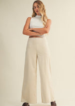 Oat Suede Wide Leg Pant