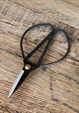Z ZAura Vintage Scissors
