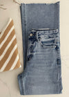 Denim Abby High Rise Wide Leg