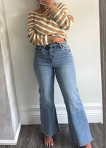 Denim Abby High Rise Wide Leg