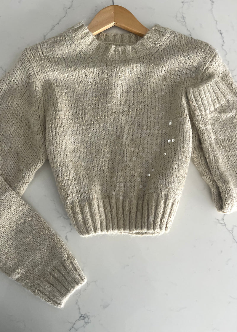 Mocha Sequin Paris Sweater