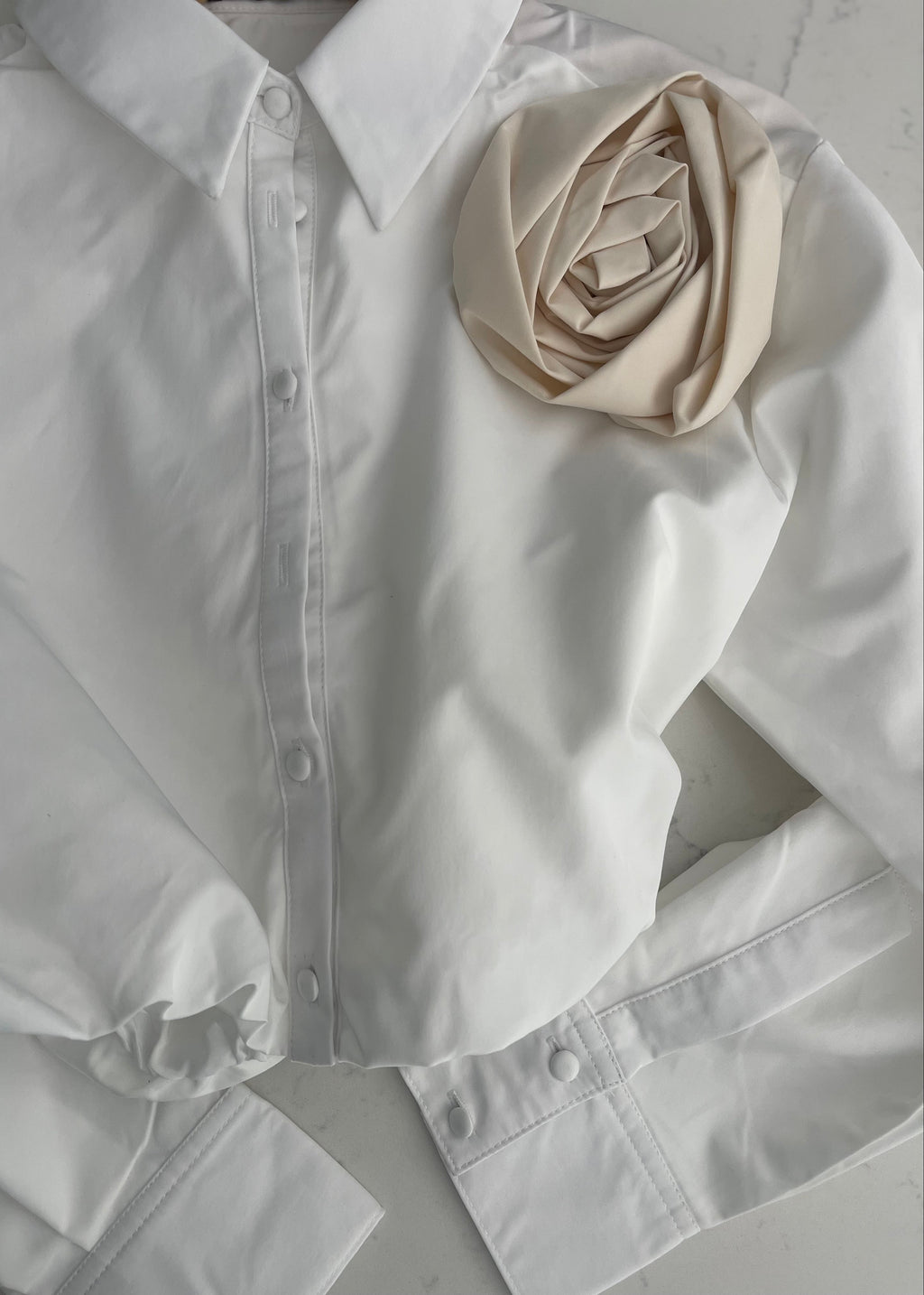 Paris Rose Collared Top