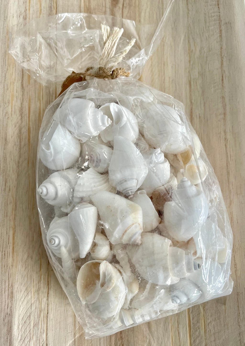 Z ZAura White Shell Bunch